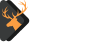 Doyle Digital
